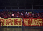 包含浴血奋战：中国队团结一心，攀登巅峰的词条